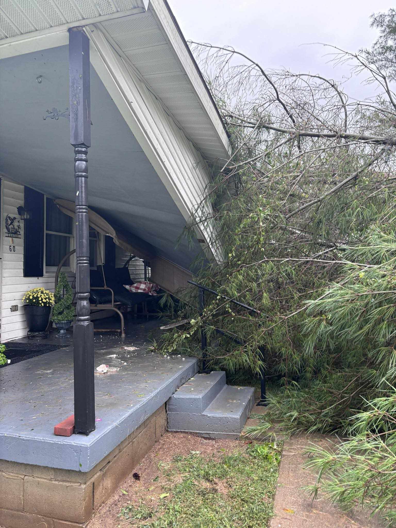 Tree fell on her house